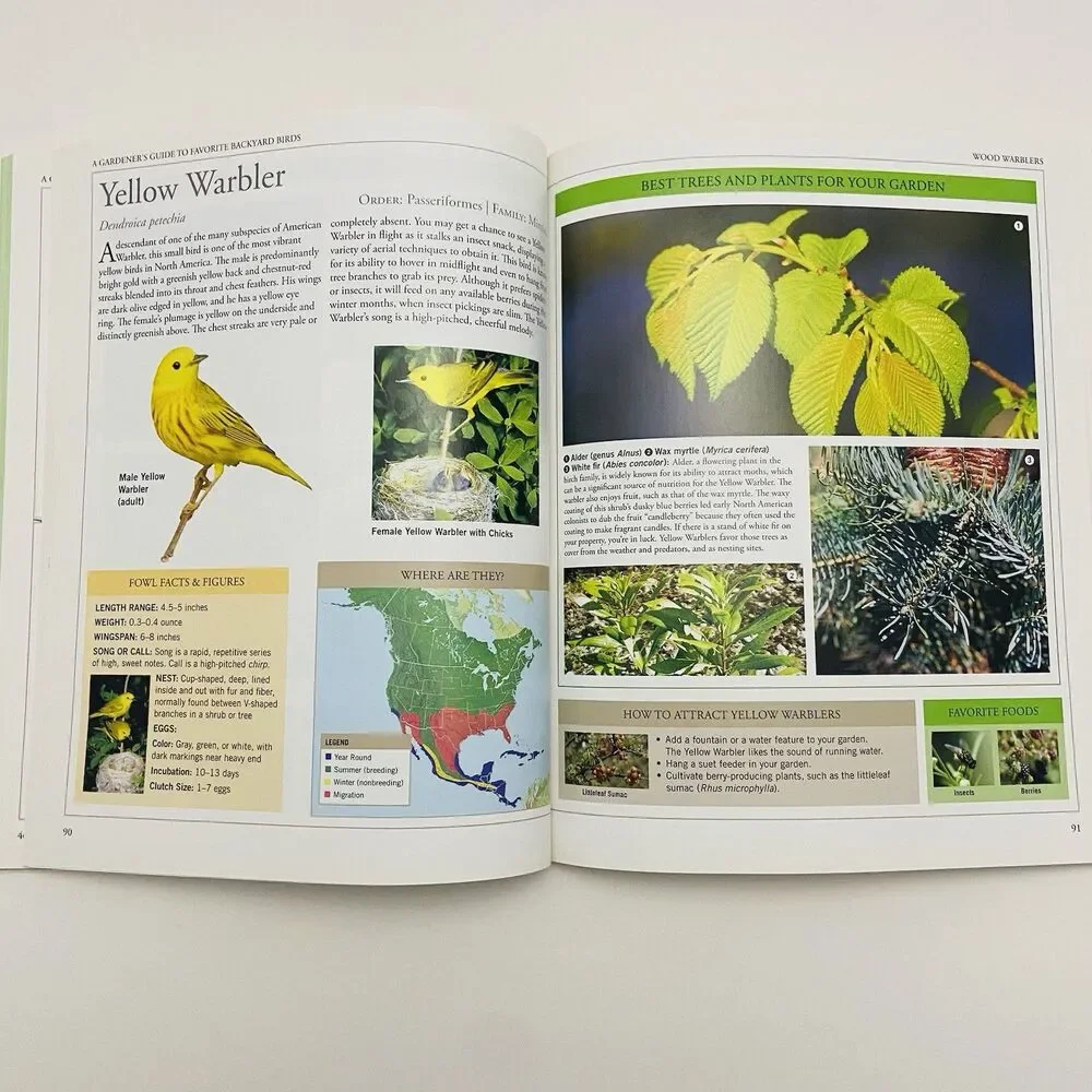 Garden Secrets for Attracting Birds By Rachael Lanicci (2010, Trade Paperback)